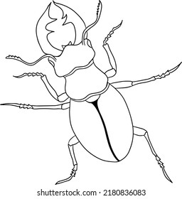 Escarabajo de ciervo. Páginas de coloreo de escarabajos. Errores de ilustración detallados. Vector, ilustración dibujada a mano.