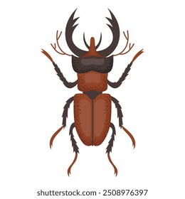 Fusca, inseto marrom. Inseto colorido. Espécie de inseto da natureza e biodiversidade. Ilustração plana do vetor do besouro.