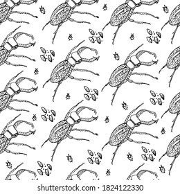 Deer beetle pattern. Coloring book for children and adults. Background with insect, beetle gorech. Beetles with small details. For textiles, coloring, banners, design paper. Autumn background, isolate