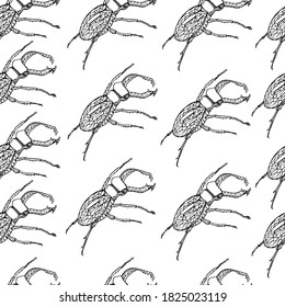 Deer beetle pattern. Coloring book for children and adults. Background with insect, beetle gorech. Beetles with small details. For textiles, coloring, banners, design paper. Autumn background, isolate