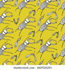 Deer beetle pattern. Coloring book for children and adults. Background with insect, beetle gorech. Beetles with small details. For textiles, coloring, banners, design paper. Autumn background, isolate
