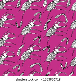 Deer beetle pattern. Coloring book for children and adults. Background with insect, beetle gorech. Beetles with small details. For textiles, coloring, banners, design paper. Autumn background, isolate