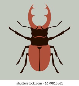deer beetle, vector illustration, flat style ,front side