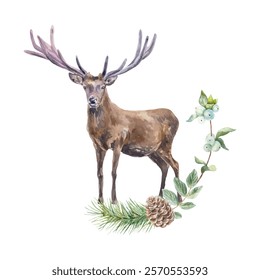 Deer with big antlers watercolor. Spruce branch with cone and twig with leaves. Vector illustration. Cards, posters, banners, wildlife protection day.