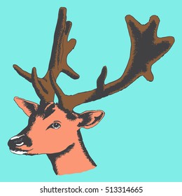 deer with big horns hand drawing doodle