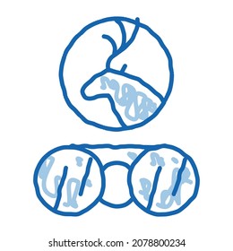 Deer Binoculars esboza el vector de icono. Dibujo manual de la línea azul del doodle de Deer Binoculars. ilustración de símbolo aislado