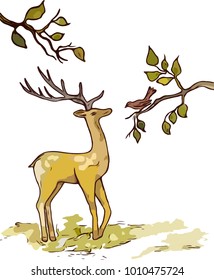 Deer and bird. Wild forest with deer and bird. Vector deer animal wild adventure illustration. Spring