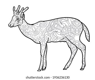Deer, black silhouette drawing with pattern for coloring, vector illustration.