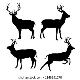 deer black silhouette vector design template