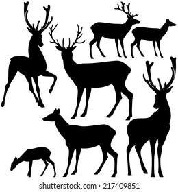 Elk Stock Illustration 88055752