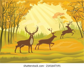 Deer buck with antlers in autumn forest