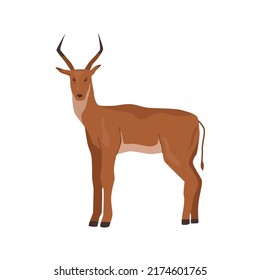 Deer or buck, isolated antelope with big antlers. African nature and fauna diversity. Horned stag herbivore creature from zoo or wildlife park. Flat cartoon, vector illustration