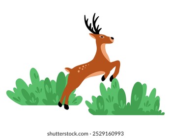 Deer Cartoon with Grass Illustration