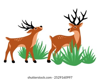 Deer Cartoon with Grass Illustration