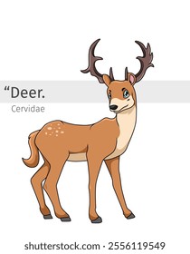 Deer Cartoon illustration. wildlife animal isolated. Animal cartoon collection. Cartoon character isolated