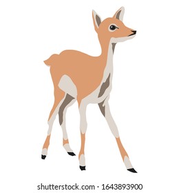 Deer cartoon style illustration design. Cute bambi animal. Vector isolated painting art