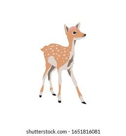 Deer cartoon style illustration design.Cute animal without horns. Vector isolated painting art