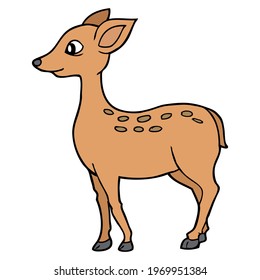 deer cartoon vector illustration,
isolated on white background.top view