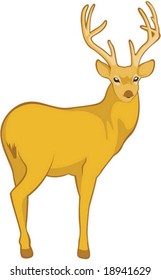 Deer Character on white background