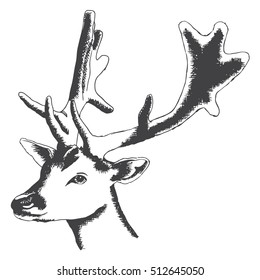 deer Christmas hand drawing doodle