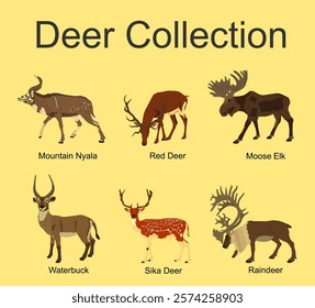 Deer collection vector illustration isolated on background. Mountain nyala antelope. Moose elk. Reindeer buck. Red deer grassing. Waterbuck african deer bontebok. Sika symbol.