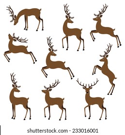 deer color vector image