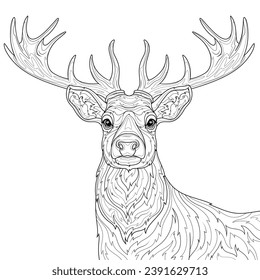 Deer .Coloring book antistress for children and adults. Illustration isolated on white background. Hand draw