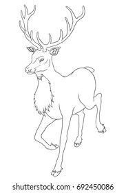 Deer coloring book isolated on white. Animal vector stock illustration.