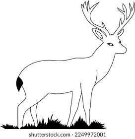 deer coloring page  download   easy to use 