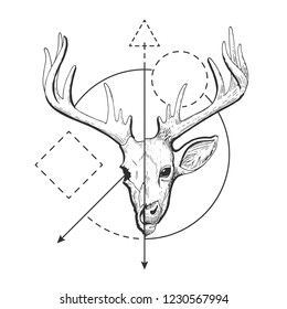 Deer concept art Vector hand drawn half head skull and face illustration on white background with geometric lines, triangle, circle, rectangle