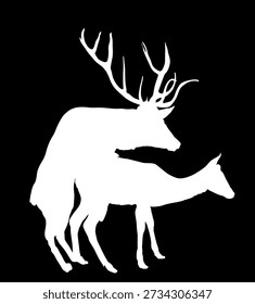 Deer couple in love vector silhouette illustration isolated. Rain deer mating with female. Deer family. Powerful animal shape shadow.