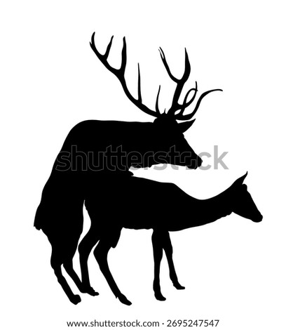 Deer couple in love vector silhouette illustration isolated. Rain deer mating with female. Deer family. Powerful animal shape shadow.