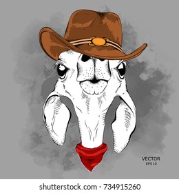a deer in a cowboy hat. vector illustration