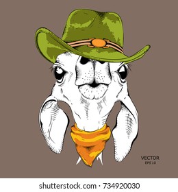 a deer in a cowboy hat. vector illustration