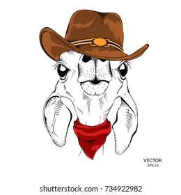 a deer in a cowboy hat. vector illustration