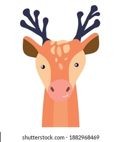 Deer cute animal baby face vector illustration. Hand drawn style nursery character. Scandinavian funny kid design.