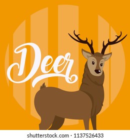 Deer Cute animal cartoon