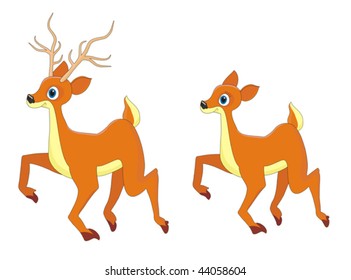 Deer and doe cartoon vector illustration