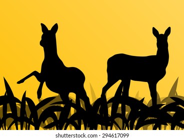Deer doe in grass field vector background ecology concept