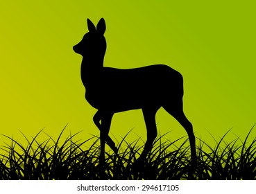 Deer doe in grass field vector background ecology concept