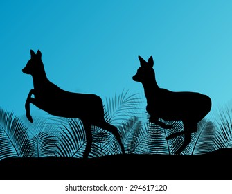 Deer doe in grass field vector background ecology concept