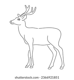 Deer in doodle style. Icons sketch hand made. Vector editable stroke.