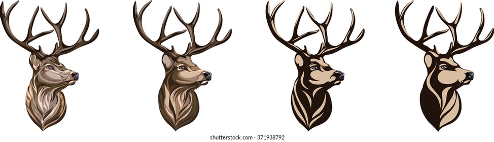 Deer drawing, vector illustration