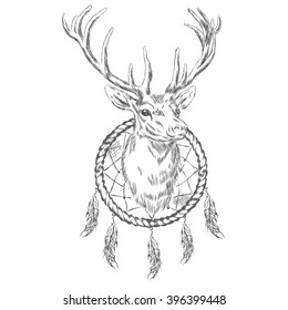 Deer and Dreamcatcher. Vector illustration.