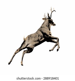 Deer effect of engraving. Vector version