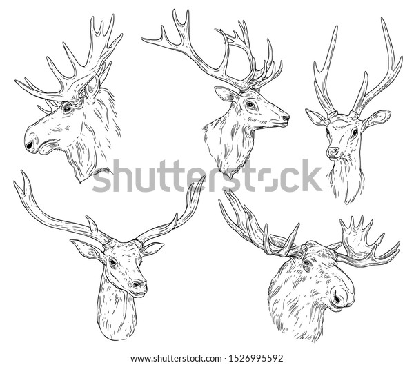 Deer Elk Antlers Isolated Monochrome Sketches Arkivvektor (royaltyfri