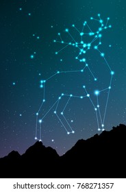 Deer and elk constellation vector art. Elk in constellations and star on night sky and forest landscape. Starry elk or deer in deep dark sky with line and shiny dots