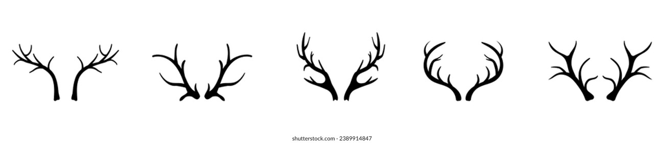 Deer and elk horn . Antler branching natural decorations for interior design with elegant shape and vector ornament