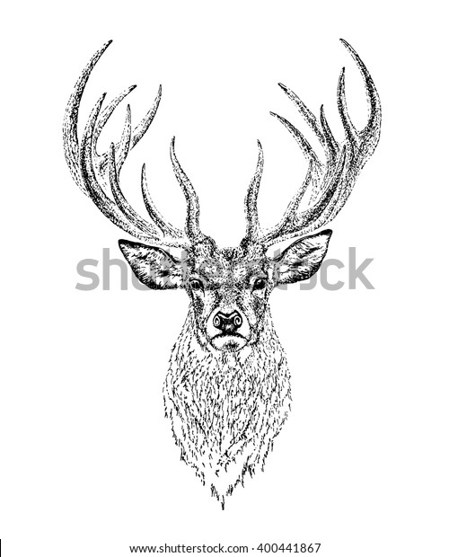 Deer Engraved Illustration Vector Stock Vector (Royalty Free) 400441867 ...