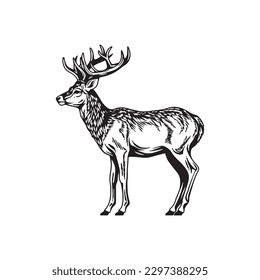 deer engraving isolated on white background